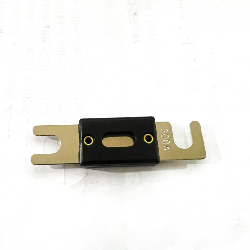 Heavy duty ANL Fuse 300A for Car Vehicles Audio System Sheet Silver Plated Sound Automotive Fuse for Cable Amplifier