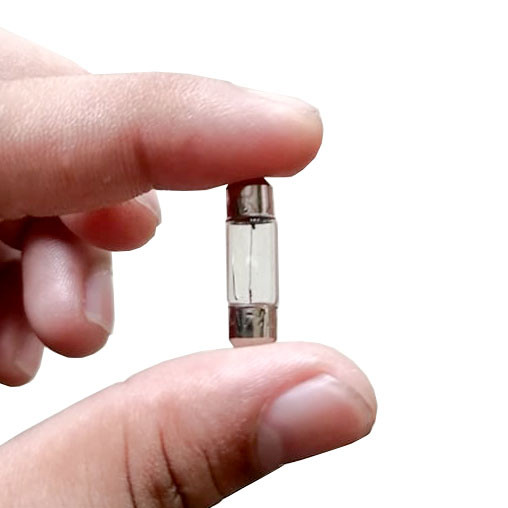 1PC PEANUT BULB DOME LIGHT 24V 28MM