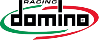 Domino